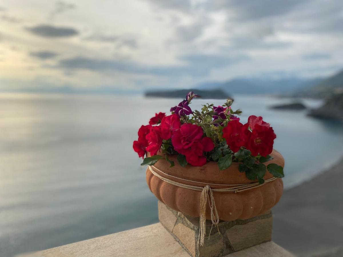 B&B Villa La Petra San Nicola Arcella Bagian luar foto