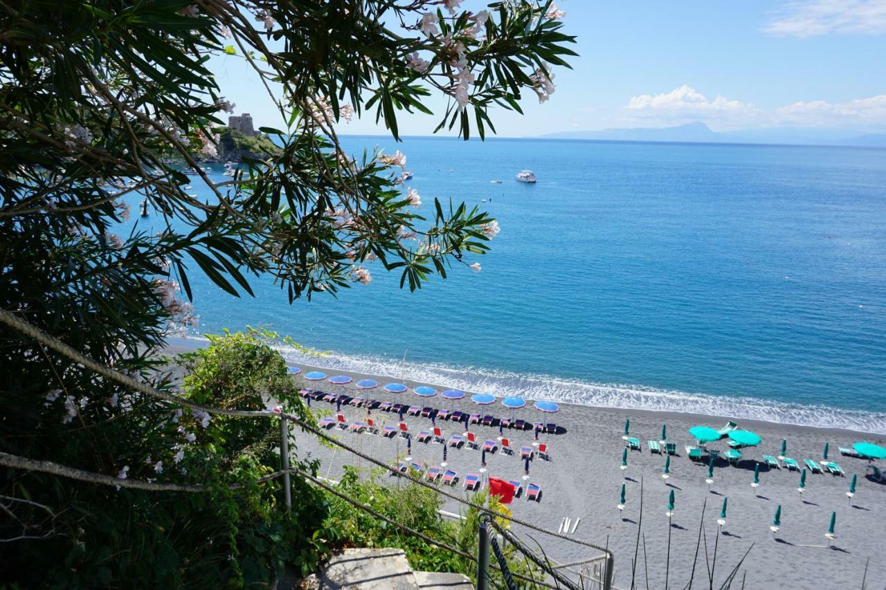 B&B Villa La Petra San Nicola Arcella Bagian luar foto